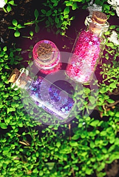 Some little glass bottles with dreams in the spring forest.