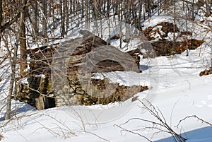 Some old building or historical house standing in winter forest.