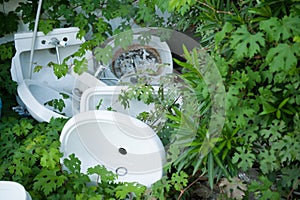 Some old out of date washbasins lay among green plants ecology problem