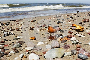 Some pieces of amber found on the Baltic seashore