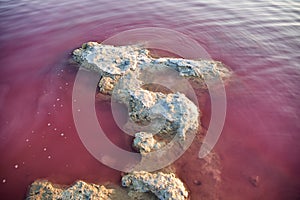 Some of the pitfalls with salt crust, being in pink water color. Las salinas, Torrevieja, Spain