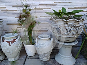 some pots made of pottery with plant inside
