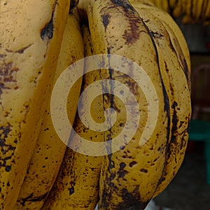 some ripe bananas at the fruit wholesaler