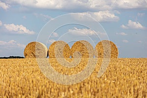 Some round straw bales lie on the field after the grain harvest