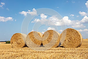 Some round straw bales lie on the field after the grain harvest