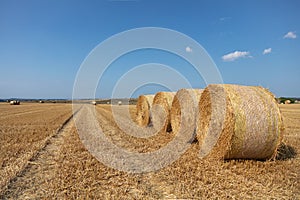 Some round straw bales lie on the field after the grain harvest