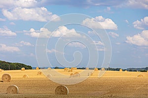 Some round straw bales lie on the field after the grain harvest