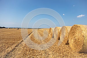 Some round straw bales lie on the field after the grain harvest