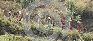 Some rural women carrying loads on their heads walking through mountain trails.