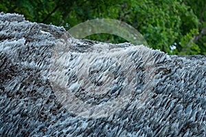 Some salt crystals protruded from a mountain of salt. Praid salt mine of Romania.