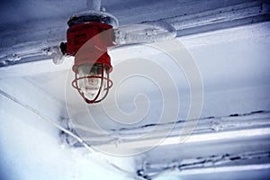 Some scean inside ocean liner