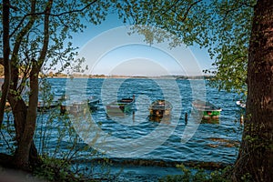 Some several small rowing boats are moored side by side at the edge of a lake