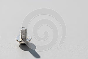 Some small screws  lined up in the light with gray background