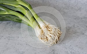 Some spring onion