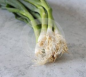 Some spring onion