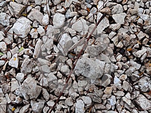some stones on the ground with telephoto lens photo