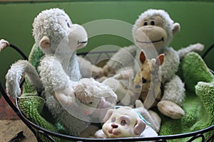 Some stuffed animals (monkeys, kangaroo and in a basket dogs)