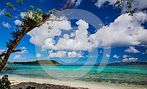 Some trees still damaged on Hawksnest beach after hurricanes Irmala and Maria on St John photo