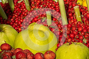 Some of the typical autumn fruits of Granada (Spain)