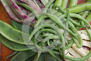 Some typical Mediterranean vegetables: broad beans, beans, garrofon, round bean and tabella bean photo