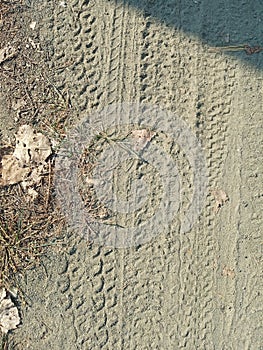 Some tyre prints on dusty road on crime scene