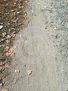 Some tyre prints and footprints on dusty road on crime scene