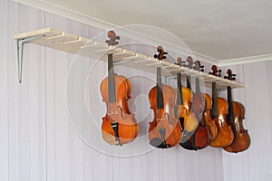 Some violins hanging in a luthier workshop