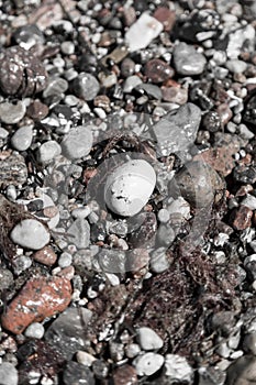 Some wet pebbles