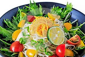 Somen - Japanese style thin wheat noodles