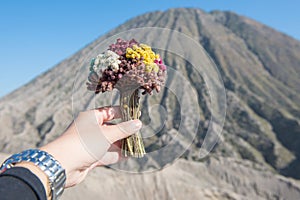 Someone hand holding flowers for praying and offering to the Hindu god with Mt.Batok in the background.