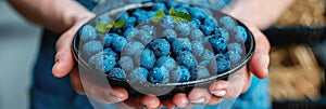 Someone holding a bowl of blueberries, a seedless fruit