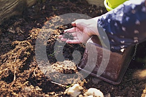 Someone rakes about in the soil and prepares the ground for the garden