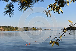 Somers Park Montana Flathead Lake Kalispell Bay