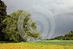 Somerset Countryside