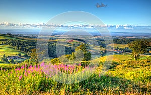 Somerset countryside view The Quantocks Somerset England UK Hinkley Point Nuclear Point