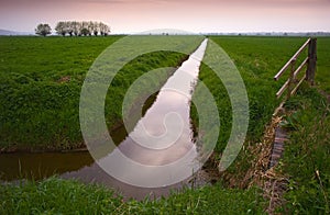 Somerset Levels in England