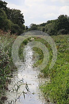 Somerset Rhyne -Wetlands At Ham Wall Nature Reserve, England