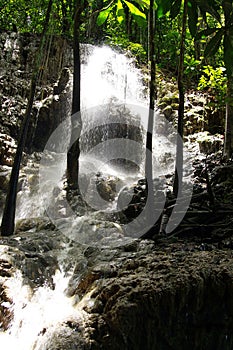  Somerset waterfalls in jungle and cave near Portland, Jamaica