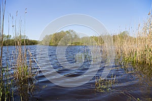 Somerset wetlands wildlife reserve view