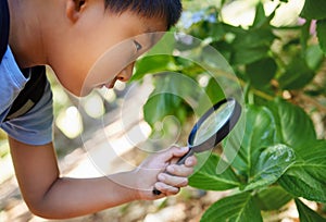 Always somethingto discover. Shot of a young boy using a magnifying glass outside.