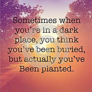 Sometimes when you`re in a dark place, you think you`ve been buried, but actually you`ve been planted