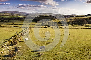 Somewhere in Northern Ireland