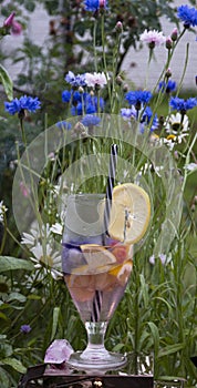 Sommar limonade on  blue wild meadow cornflowers photo