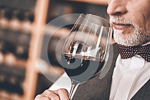 Sommelier Concept. Senior man standing holding glass smelling wine close-up