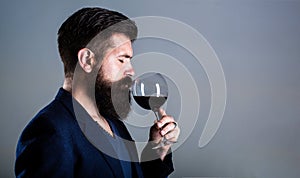 Sommelier, degustator with glass of red wine, winery, male winemaker. Beard man, bearded, sommelier tasting red wine