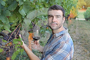 Sommelier enjoying red wine in vineyard