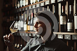 Sommelier looks at white wine in glass in cellar