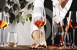 Sommelier pouring rose wine into glass at wine tasting in winery, bar or restaurant. White background