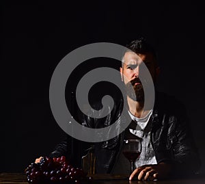 Sommelier tastes expensive drink. Man with beard holds wine glass