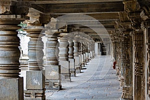 Somnathpur Stone pillar carving